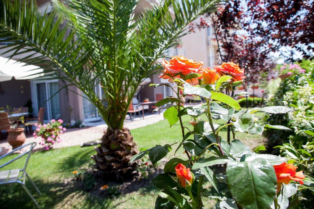 Apartments Eleni 4 Seasons Ханиоти Экстерьер фото